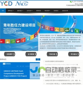 青年胜任力建设项目YCD